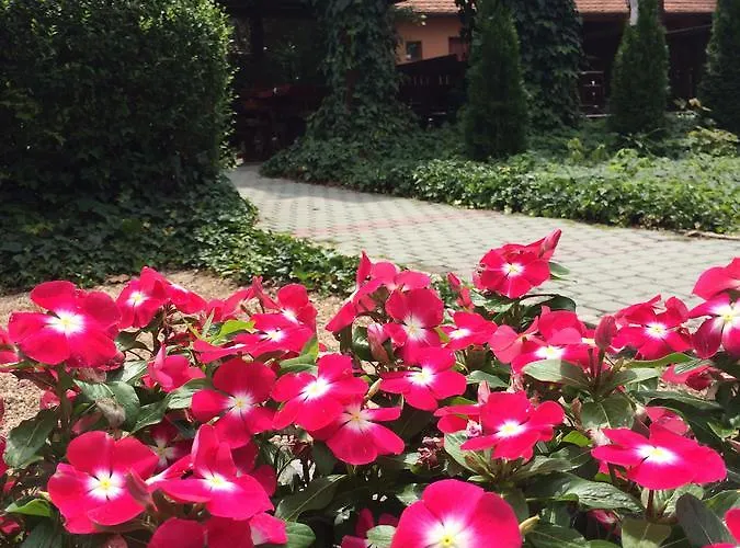 Szepasszony Fogado 3* 埃格尔